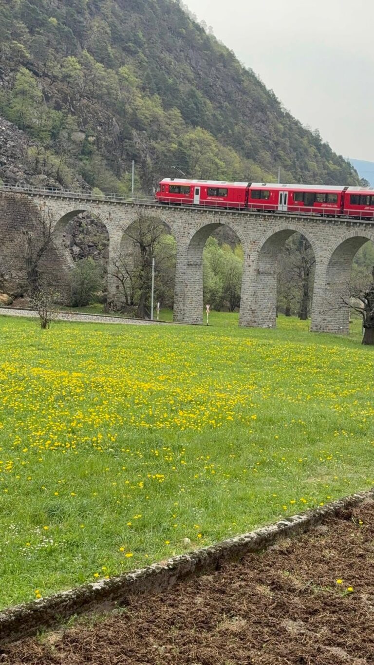 Trenino del Bernina: i colori dell’estate sulle Alpi