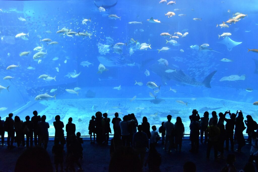 Genova e il suo Acquario