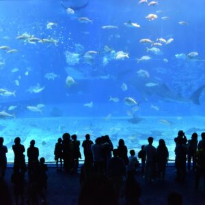 Genova e il suo Acquario
