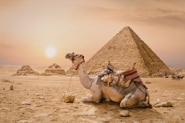 Cairo