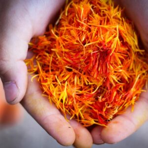 Oltrepò Pavese, tra sapori e borghi autentici