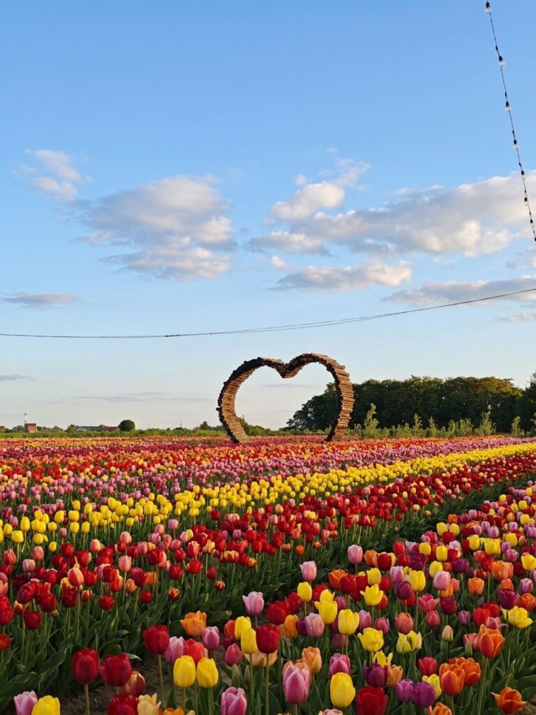 CastelBrando e Festa dei Tulipani da Nonno Andrea